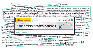 Estancias profesionales Estancias profesionales
