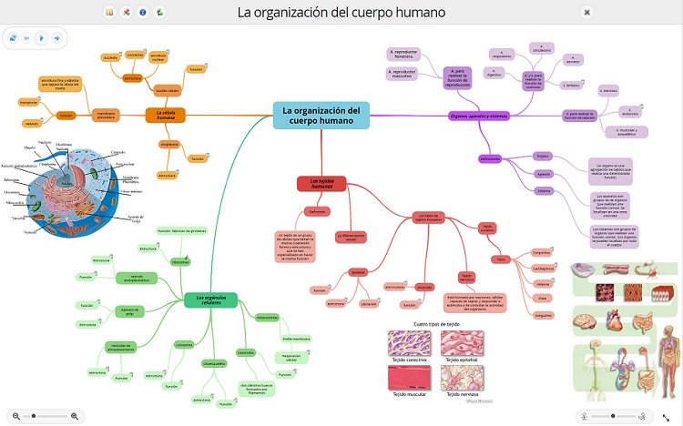 Ejemplo de Mapa Mental