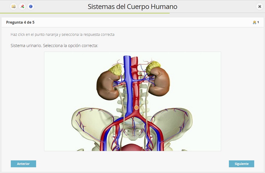 Ejemplo de test