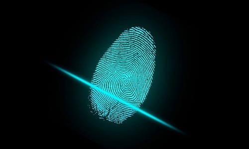 Imagen de Privacidad, identidad digital y reputación online
