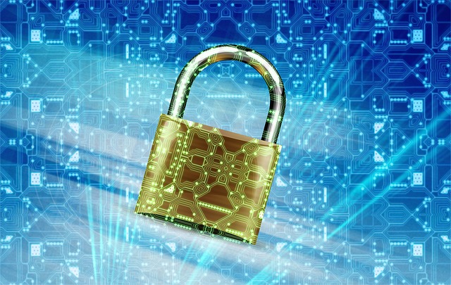 Imagen de Privacidad y seguridad TIC para docentes