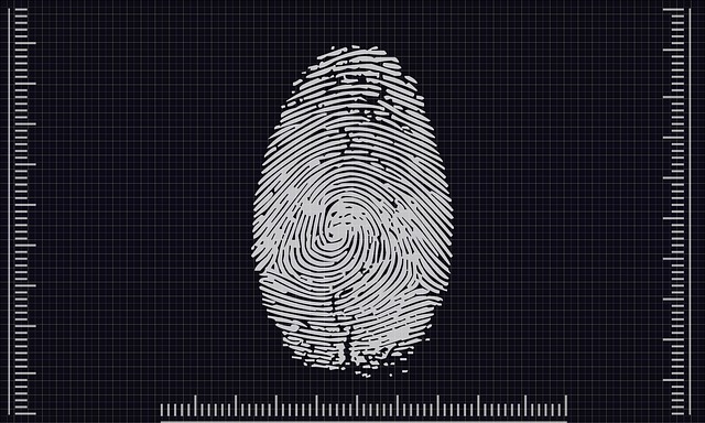 Imagen de Huella digital. Información para estudiantes