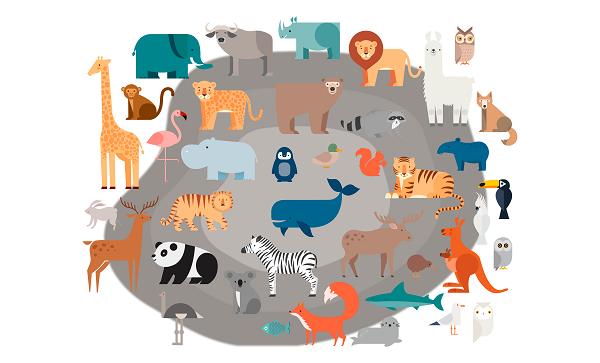 Imagen de Animales vertebrados