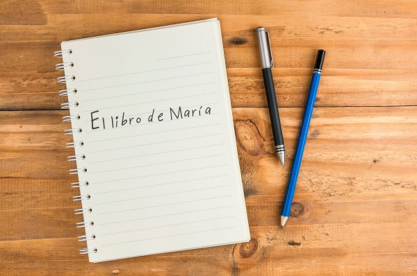Imagen de El grupo nominal