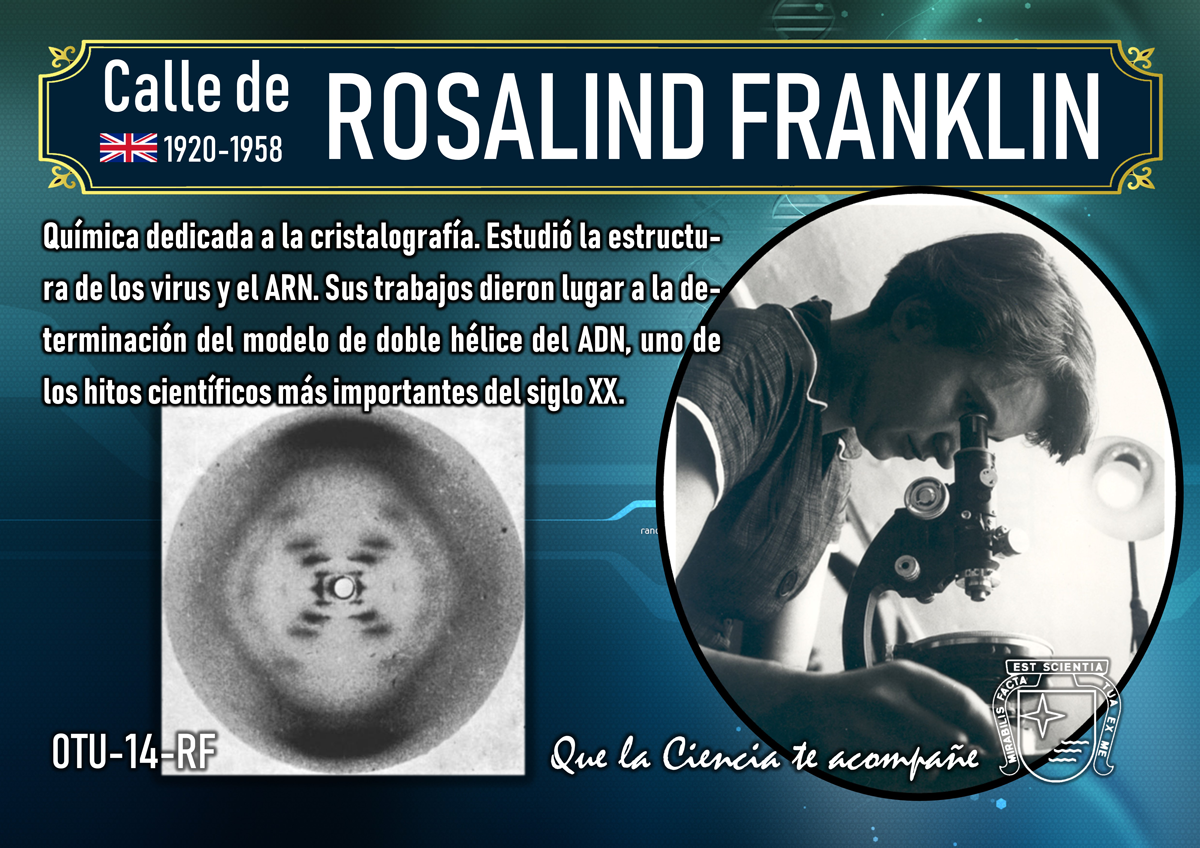 Los Nobel tienen una deuda con Rosalind Franklin, pero su calle no faltó en nuestra experiencia.