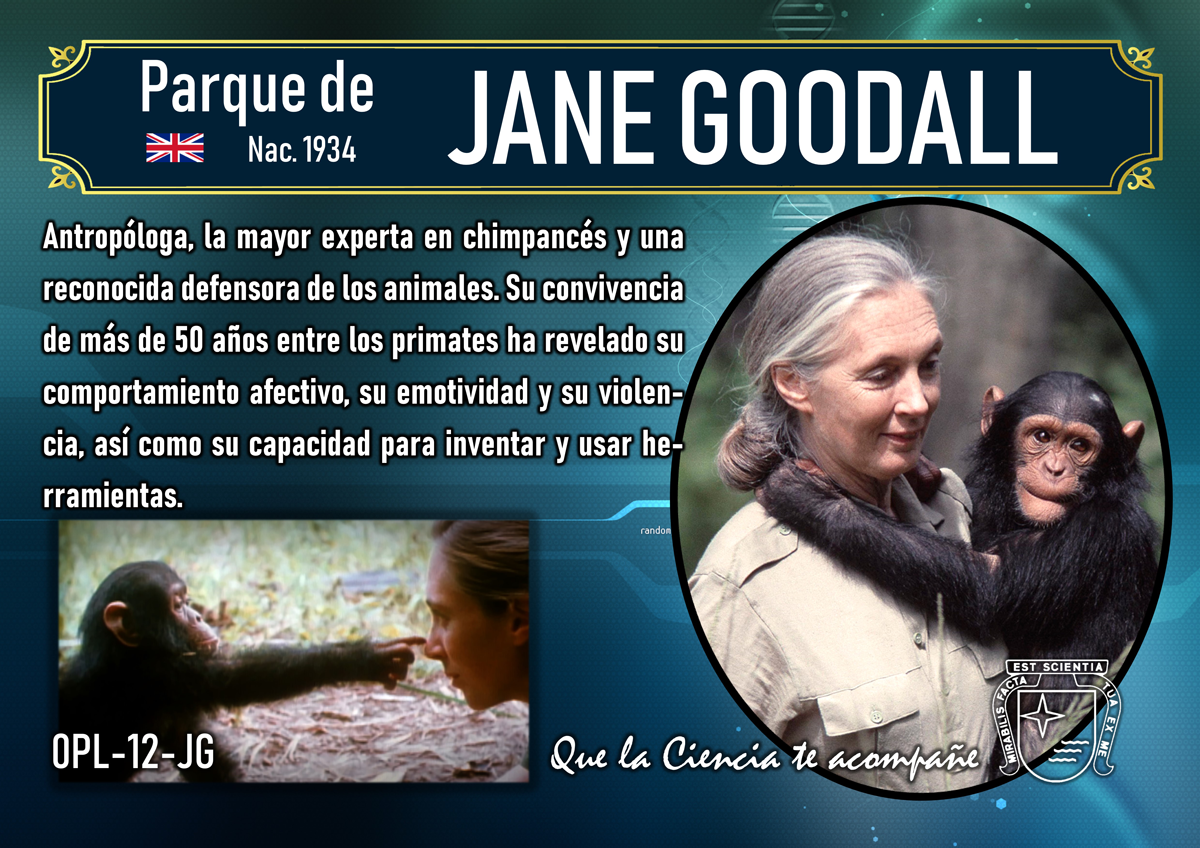 El patio de Educación Infantil fue renombrado en honor a Jane Goodall.
