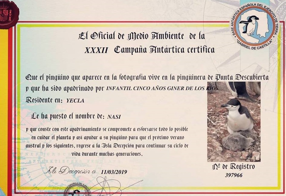 Certificado de la XXXIII Campaña Antártica de apadrinamiento de pingüino.