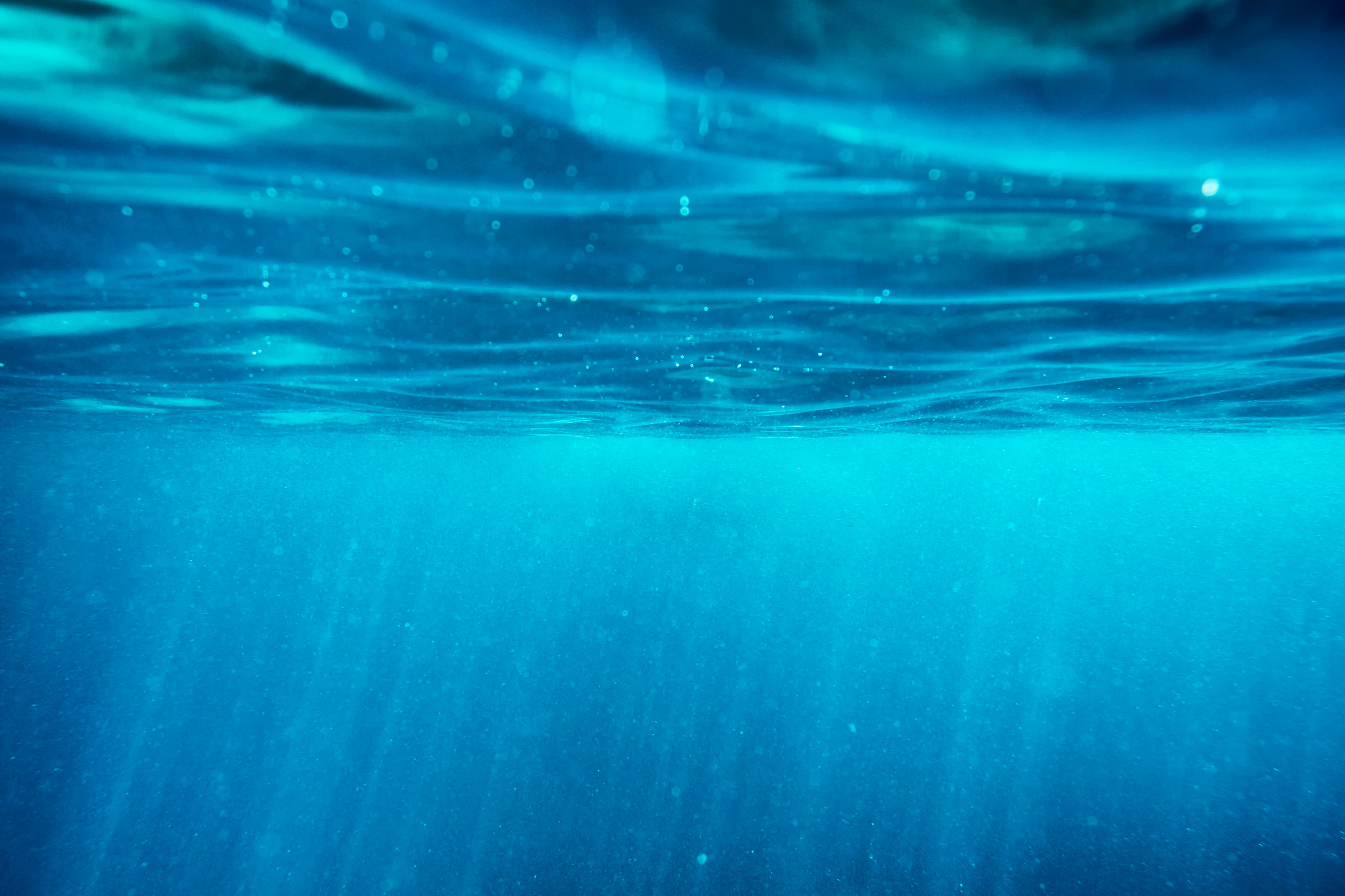 Imagen de El agua