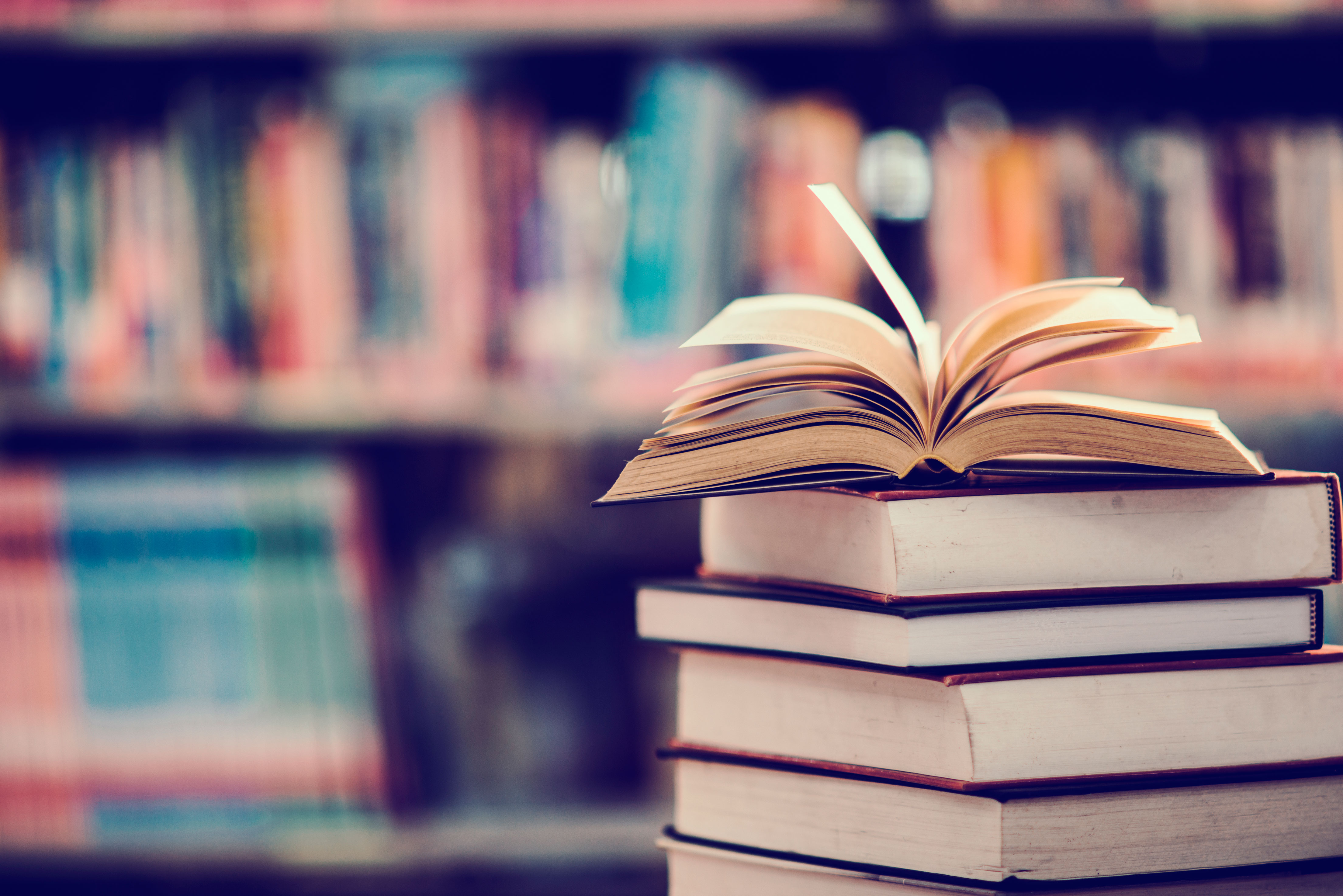 Imagen de Introducción a los textos literarios