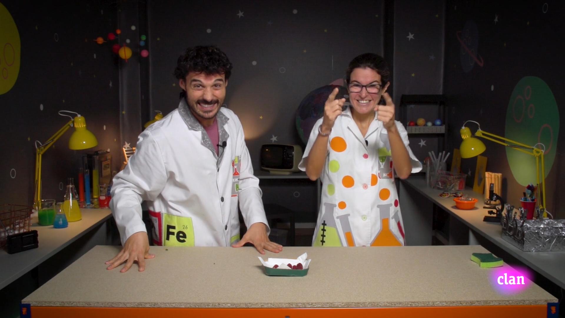 Imagen de Los 5 sentidos