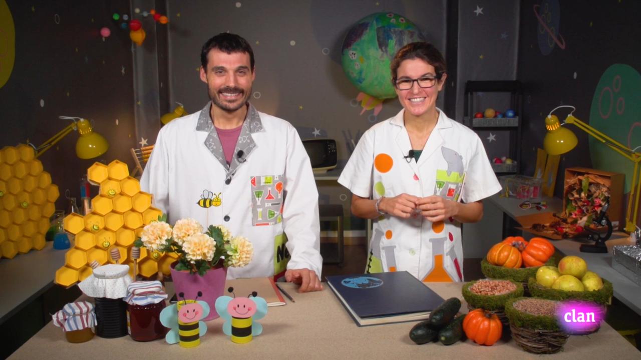 Imagen de Un proyecto de investigación