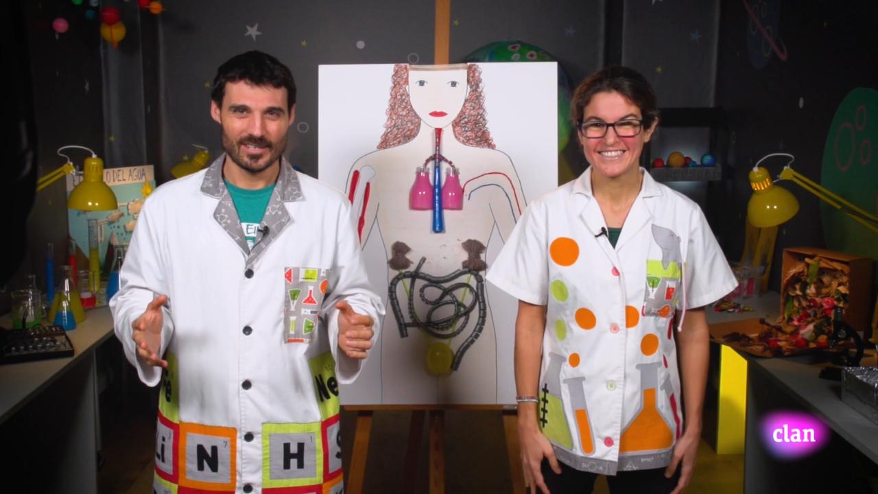 Imagen de Modela un cuerpo humano