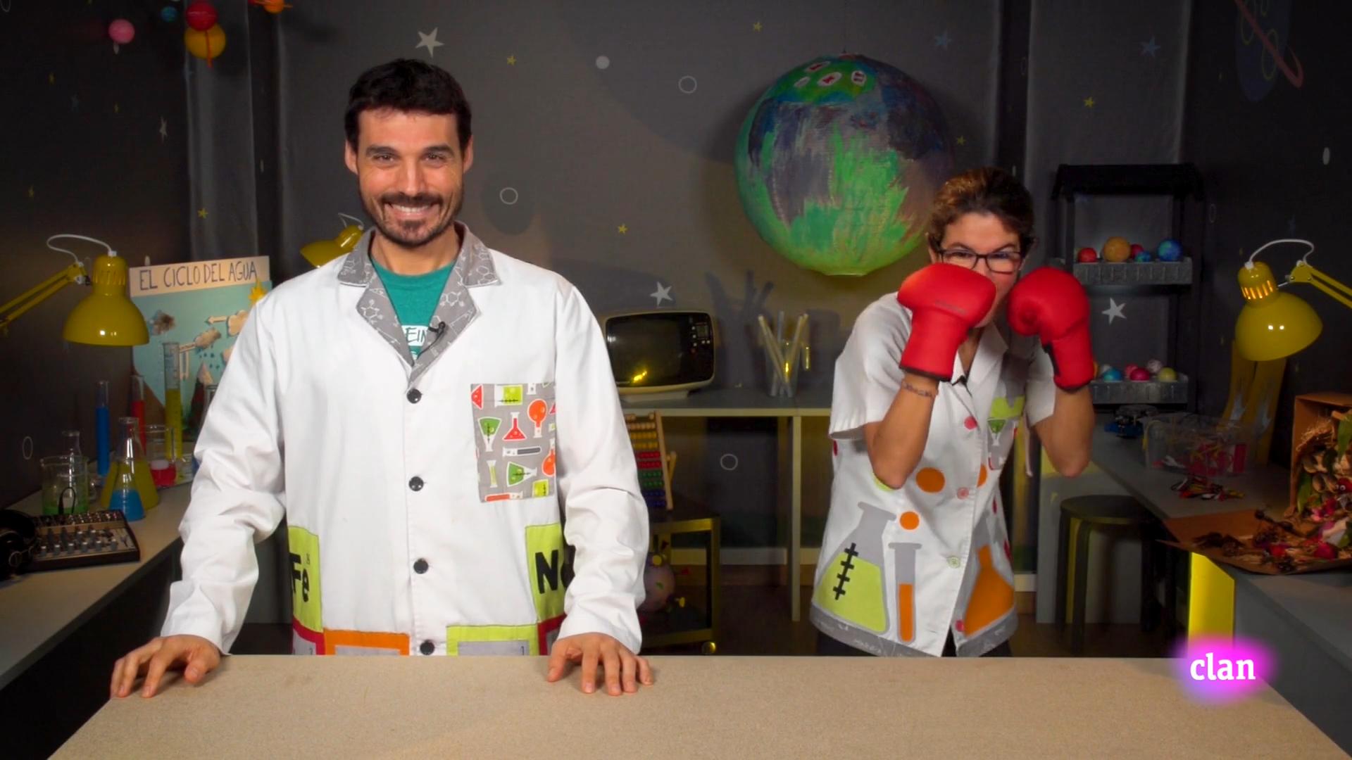 Imagen de El sistema respiratorio