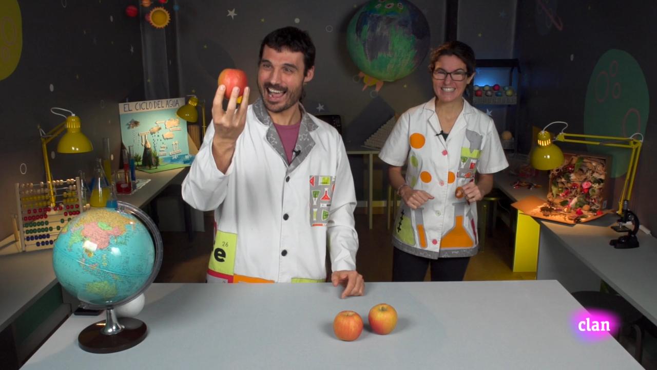 Imagen de ¿Porqué cae la manzana?
