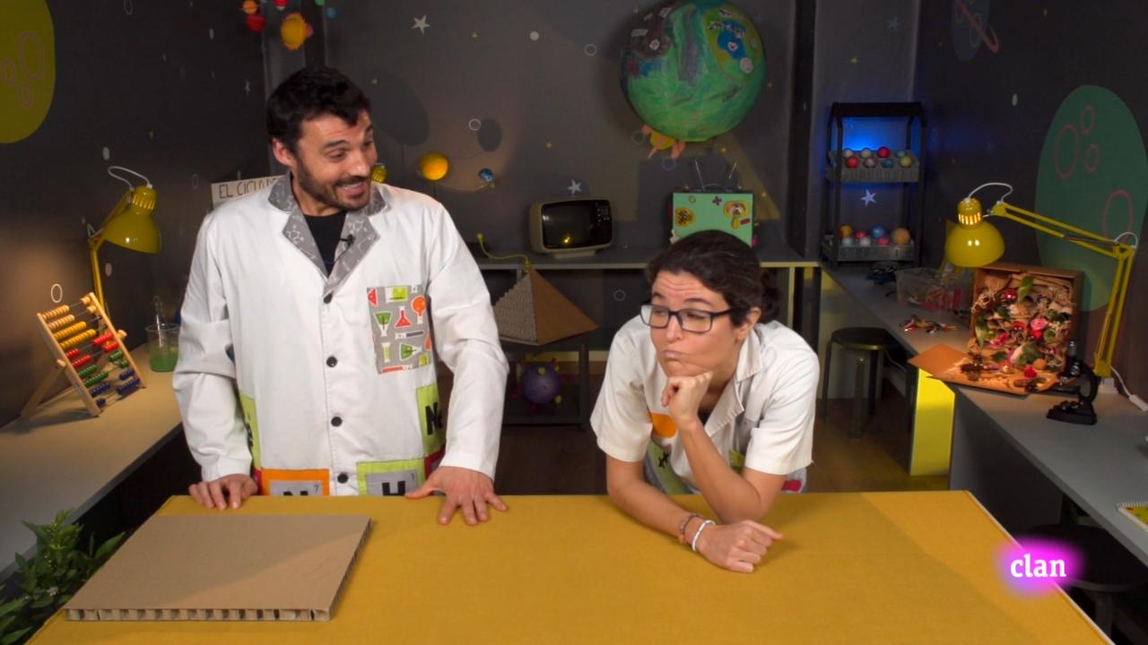 Imagen de Vamos a plantar un árbol