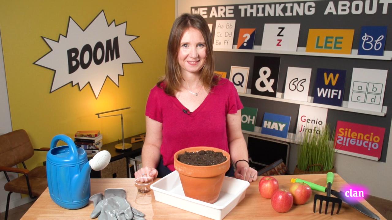 Imagen de Are plants different in the UK?