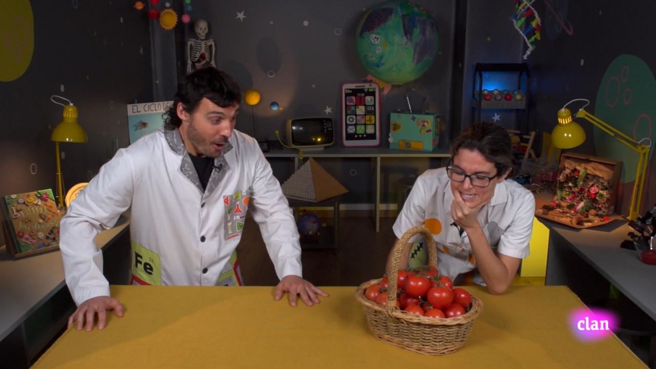 Imagen de El tomate momificado
