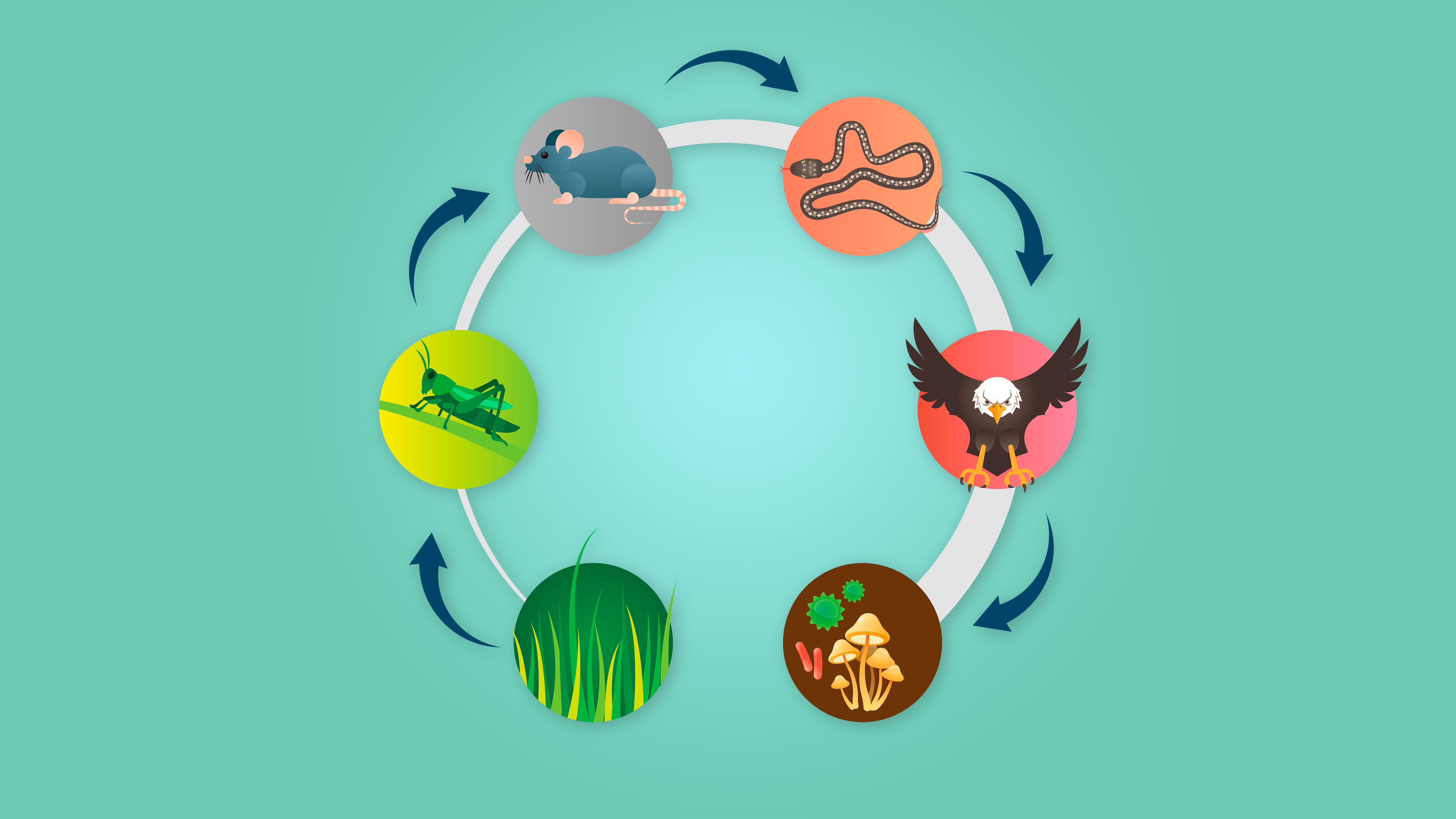 Imagen de Los ecosistemas