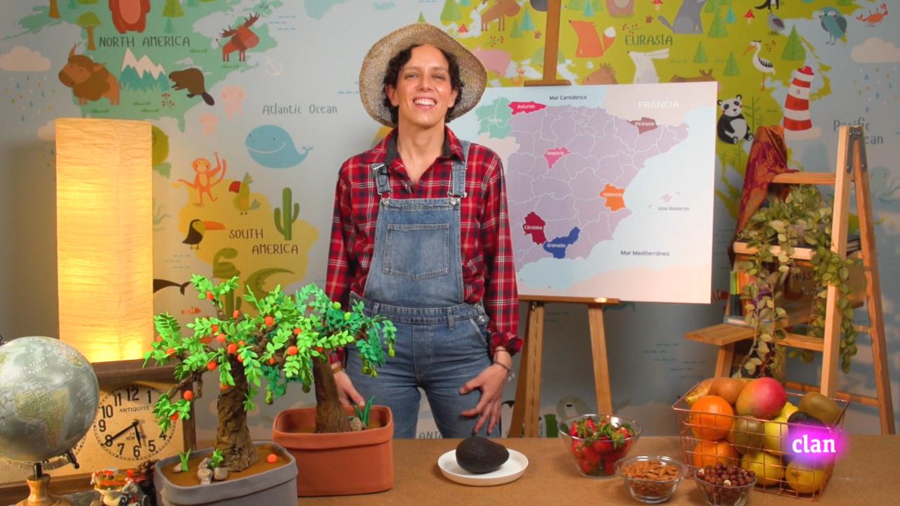 Imagen de El mapa de las frutas