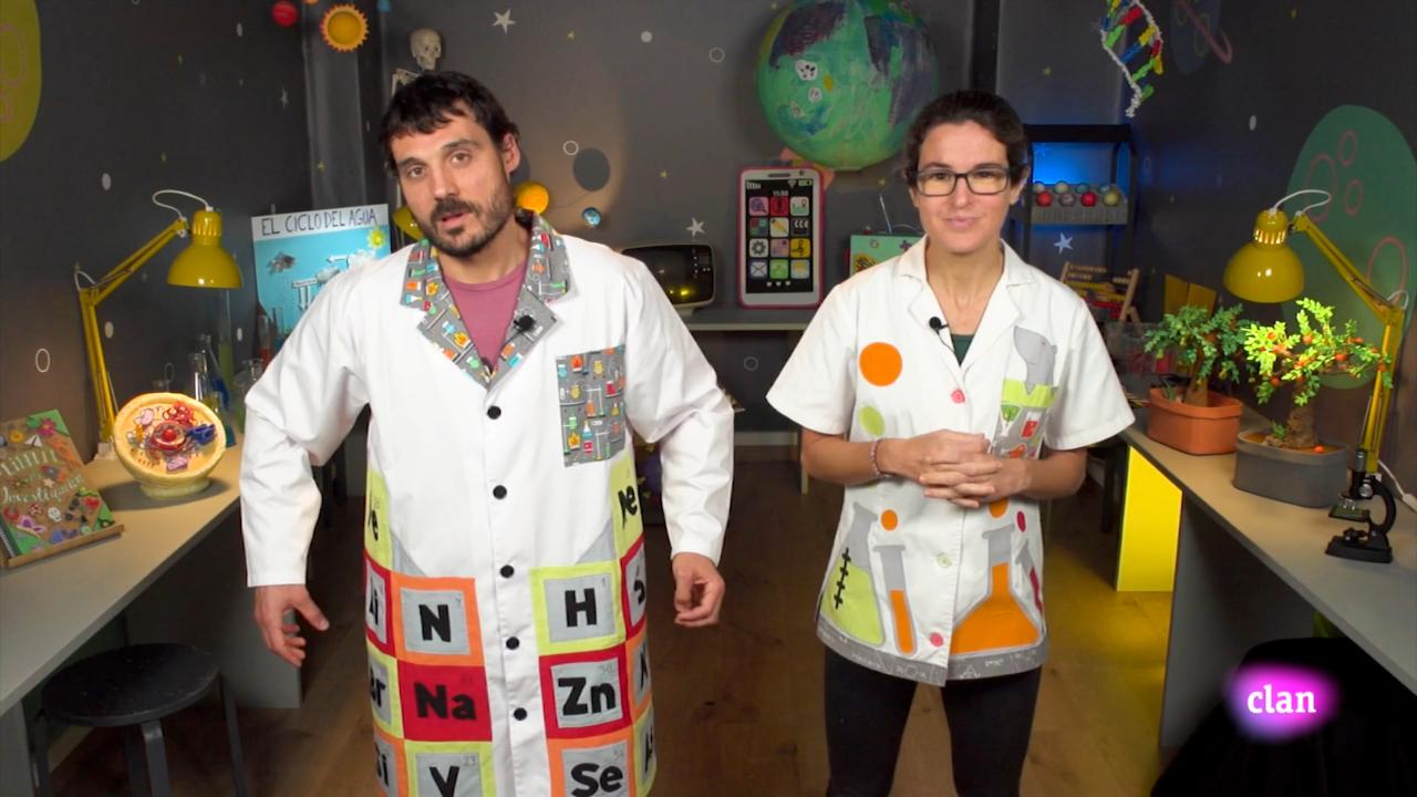 Imagen de Mascotas en el agua