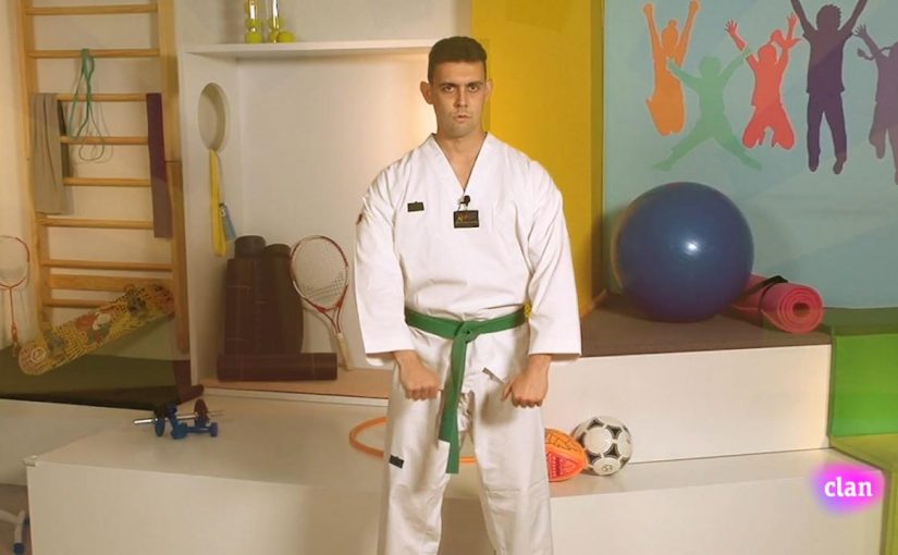 ¿Practicamos artes marciales?