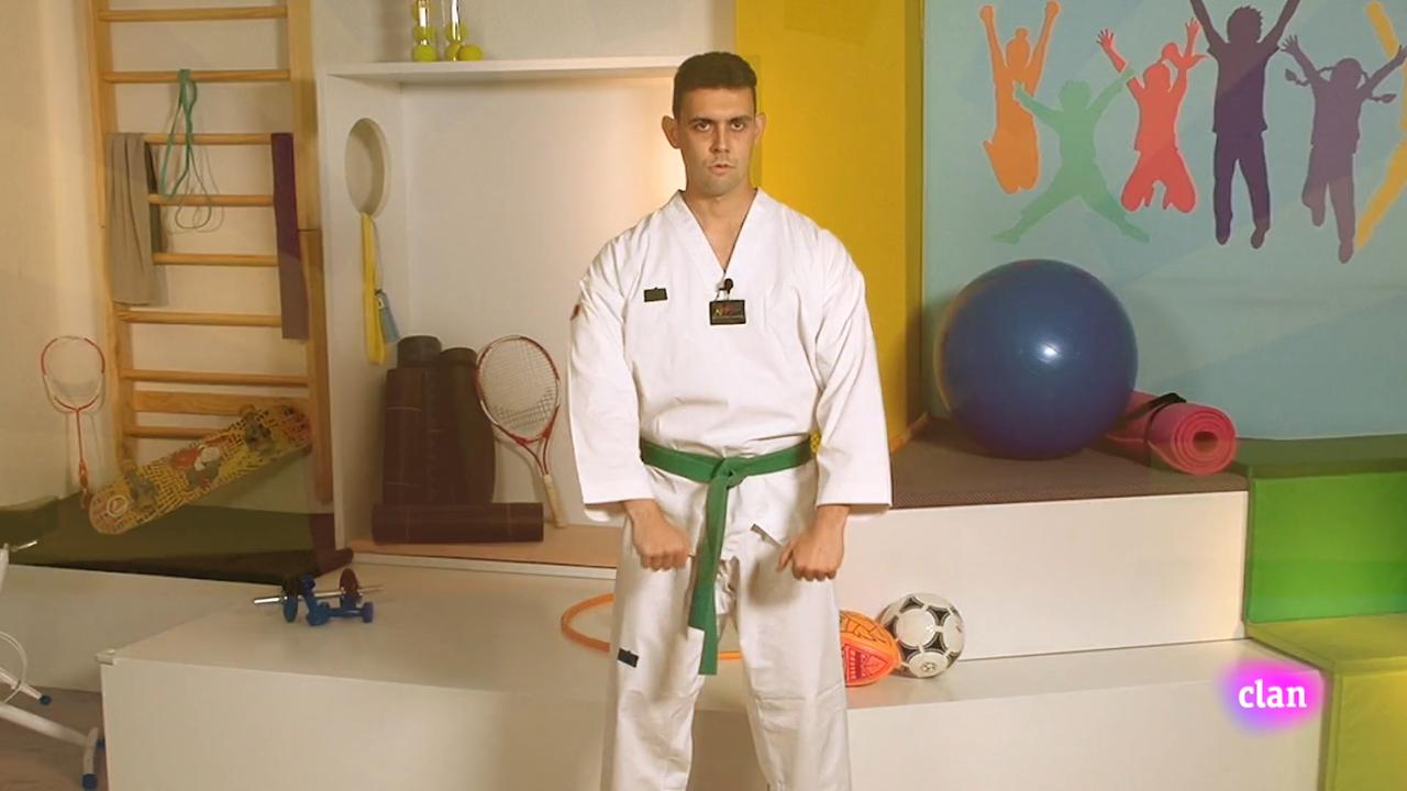 Imagen de ¿Practicamos artes marciales?