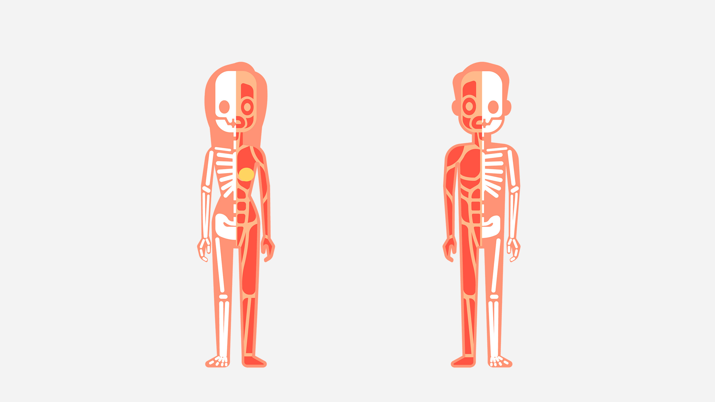 Imagen de Nuestro cuerpo funciona