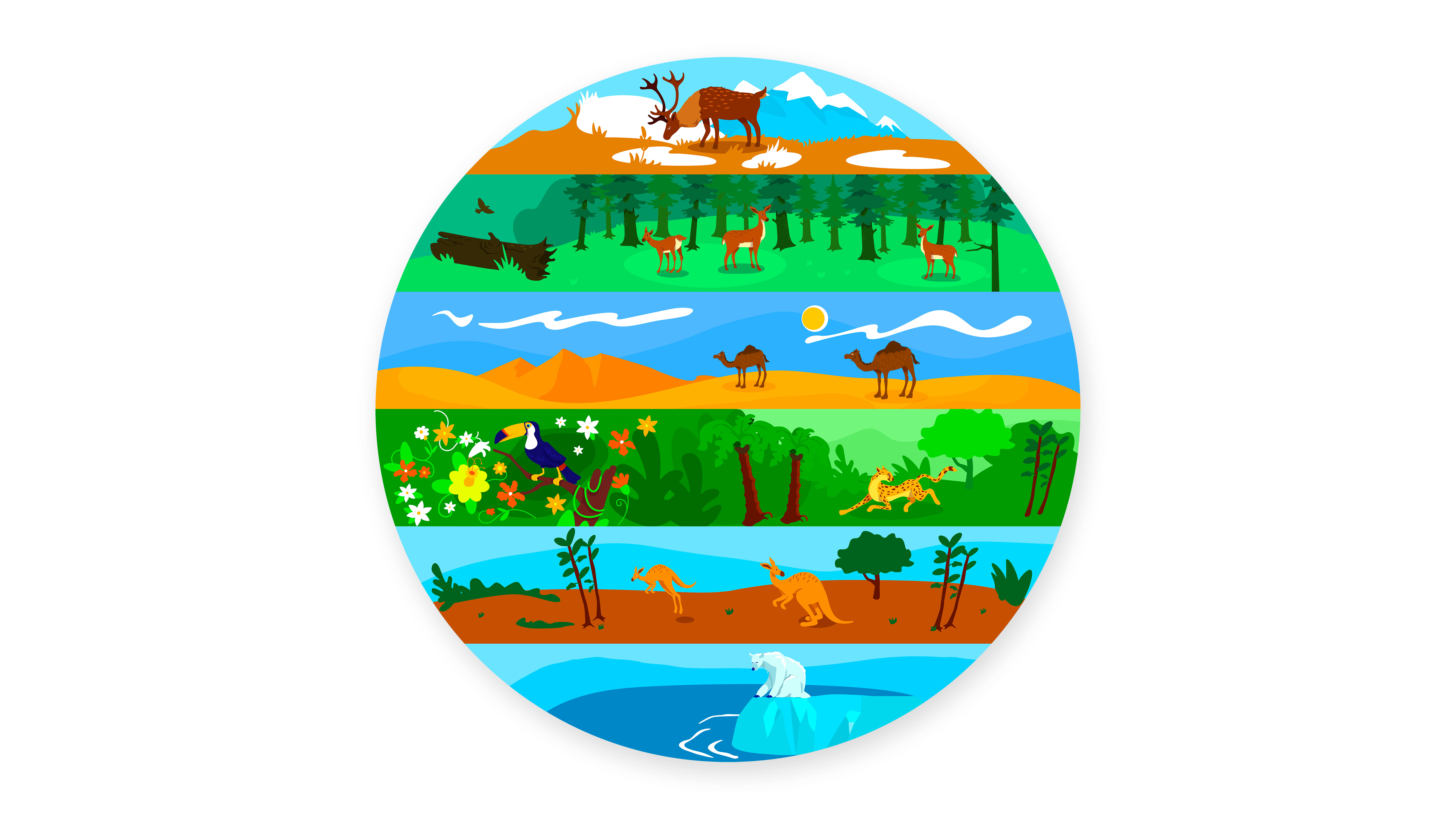 Imagen de Los ecosistemas