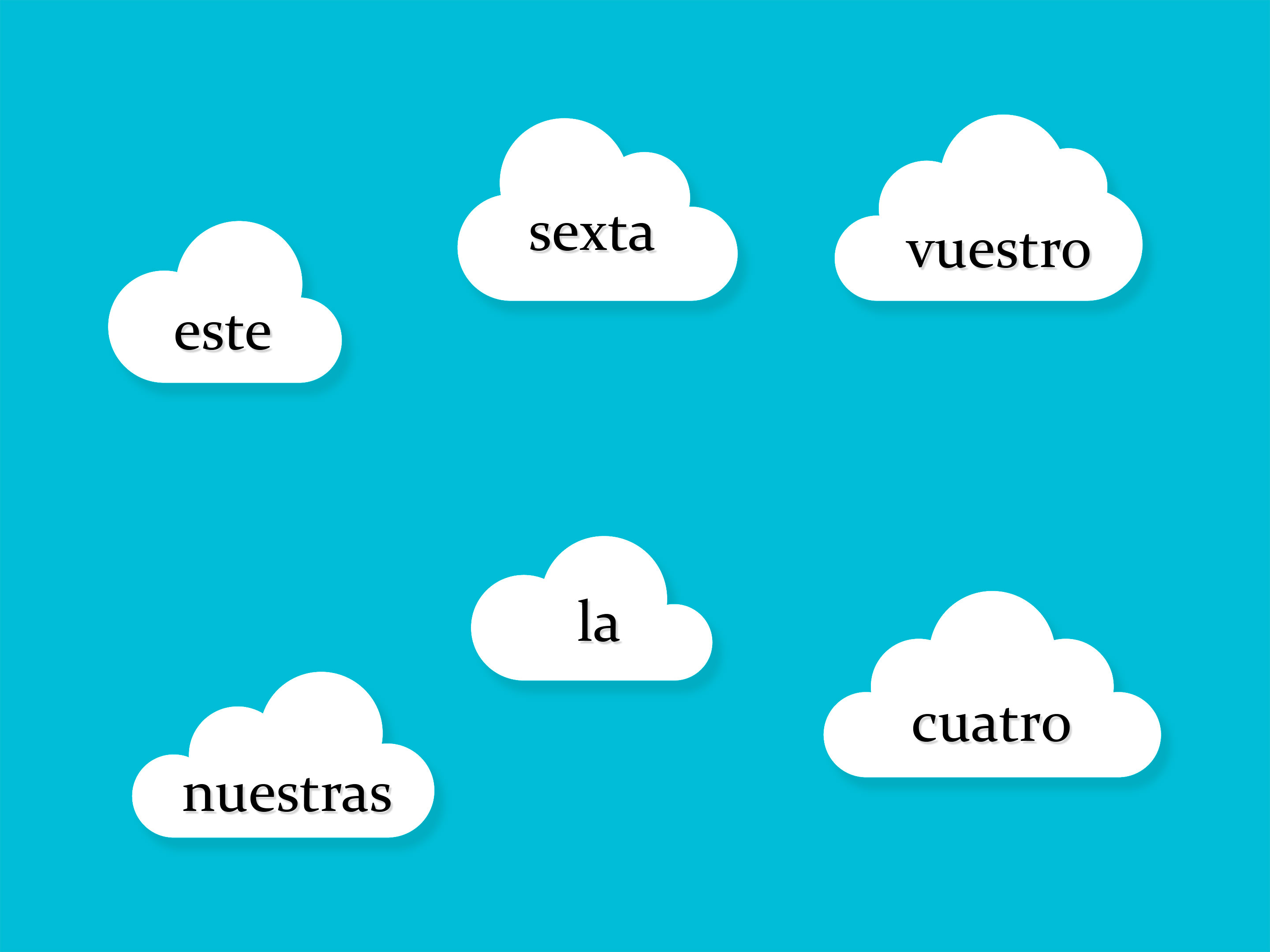 Imagen de Los determinantes
