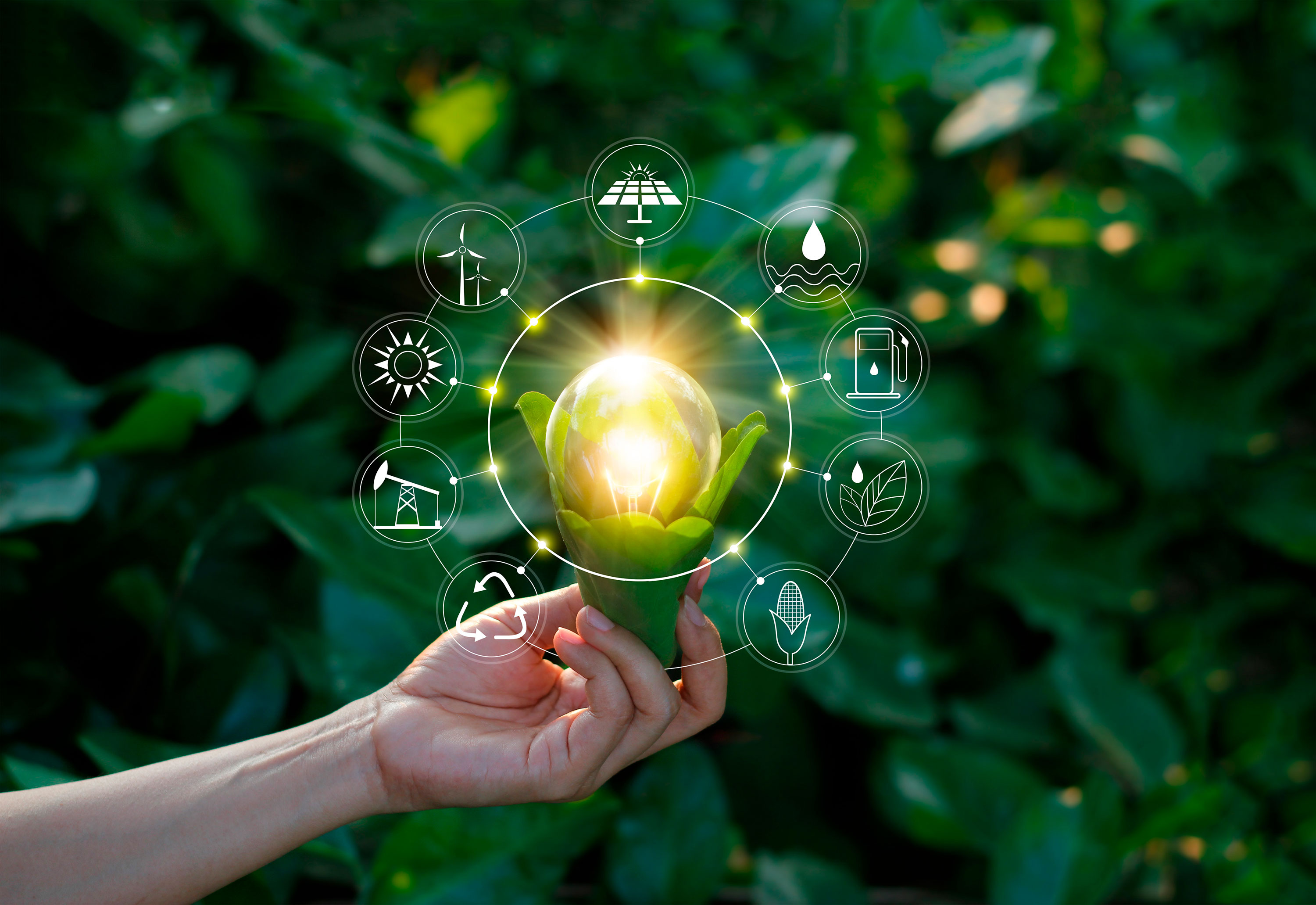 Imagen de La energía