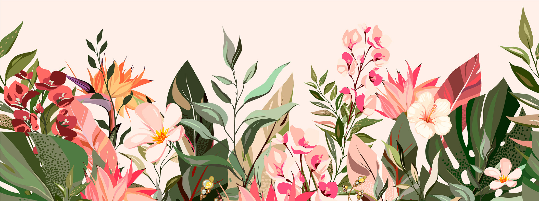 Imagen de Las plantas