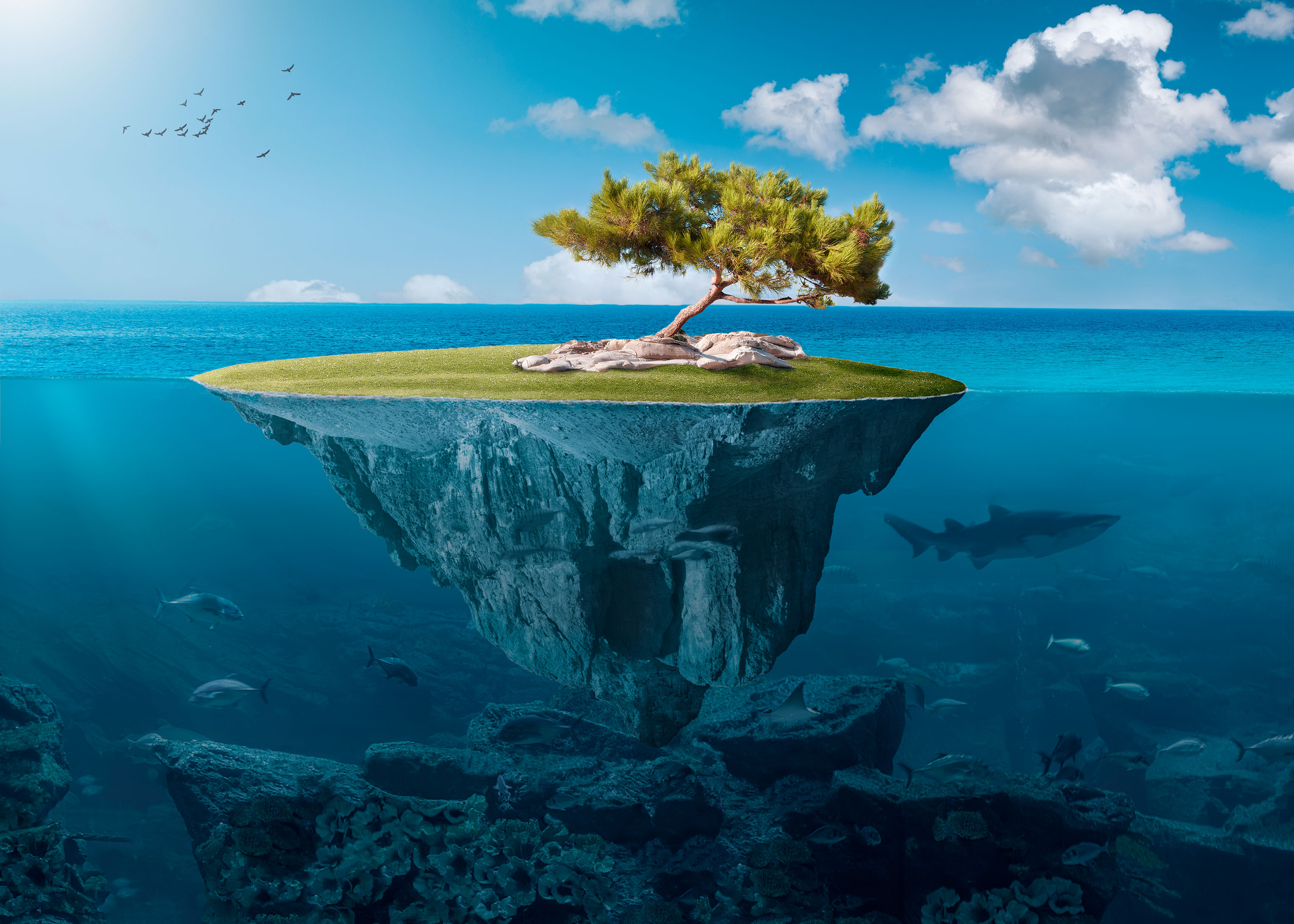 Imagen de Los ecosistemas acuáticos de la biosfera