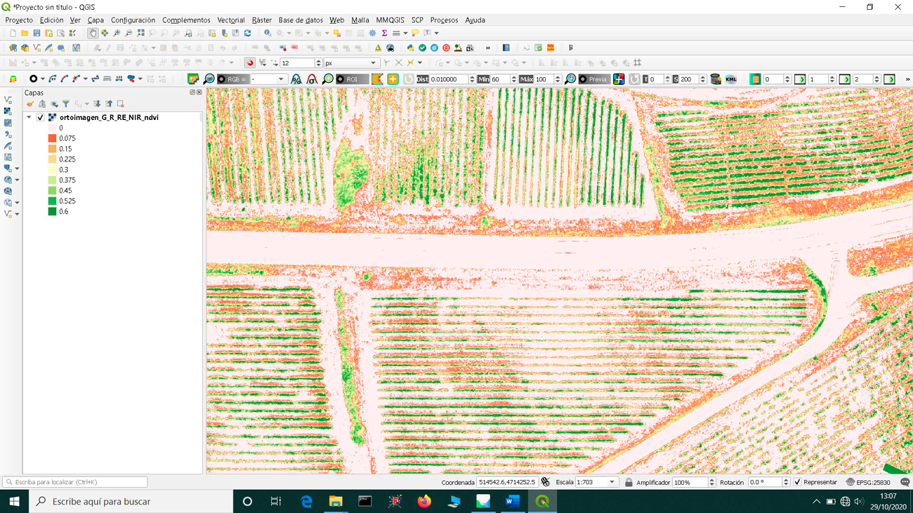 Imágenes tomadas desde drones para determinar el índice de vegetación de un terreno de cultivo