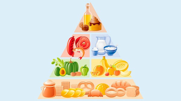 Imagen de La alimentación