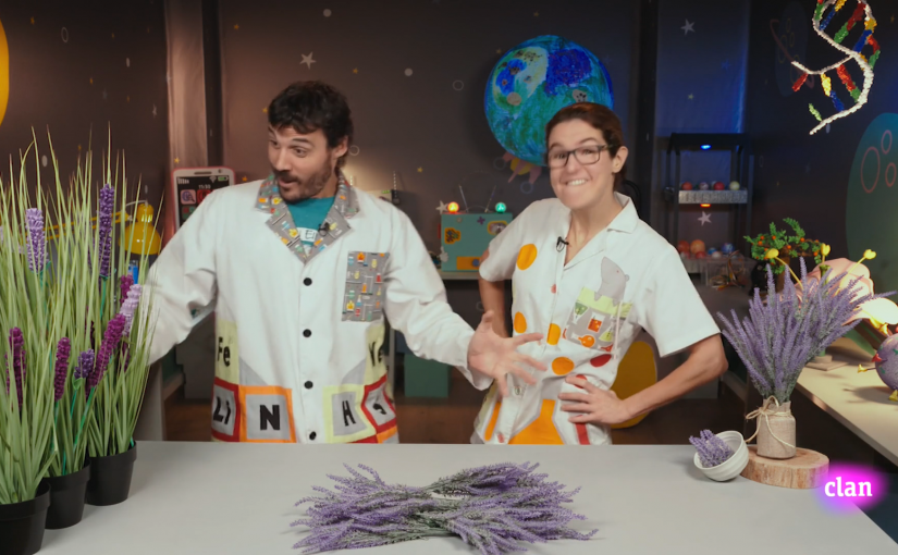 Bolsitas aromáticas de la felicidad
