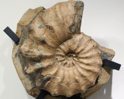 Imagen de Paseos por el tiempo… Geológico