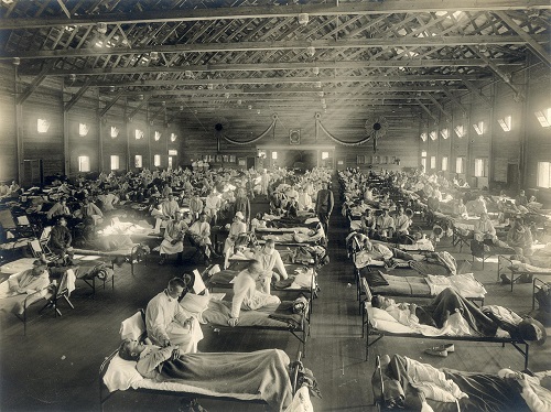 Imagen de Gripe, guerra y desinformación