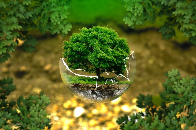 Imagen representativa del medio ambiente