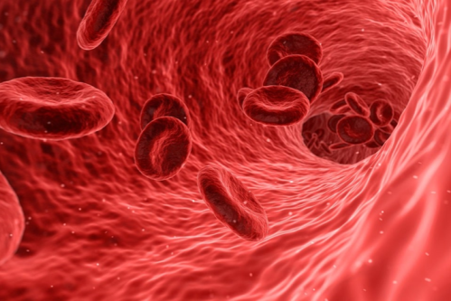 Imagen de Repasando la fisiología de nuestros órganos y sistemas a través de la sangre