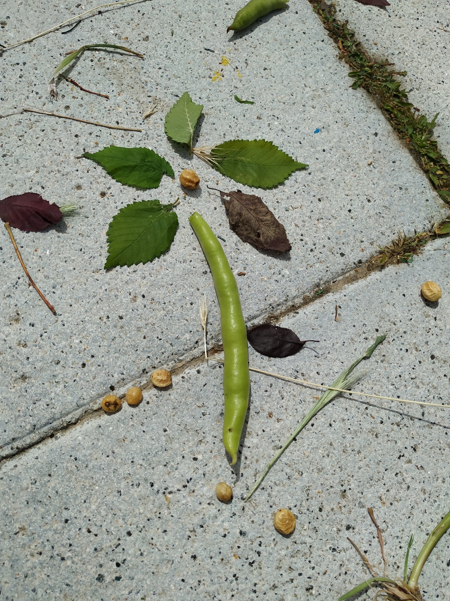 Land Art.