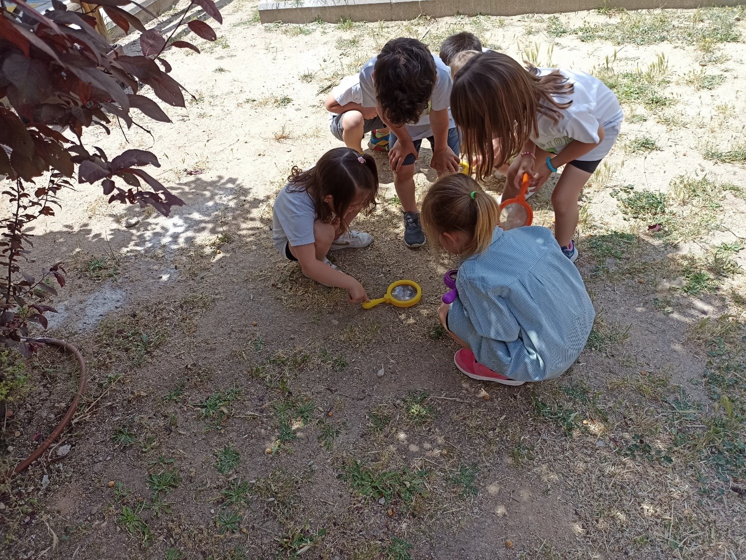 Pequeños detectives en busca de insectos.