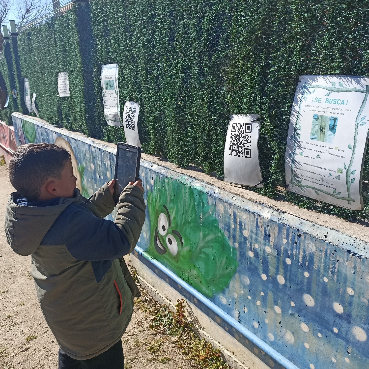 Leyendo códigos QR para conocer mejor a los insectos que habitan en nuestro huerto.