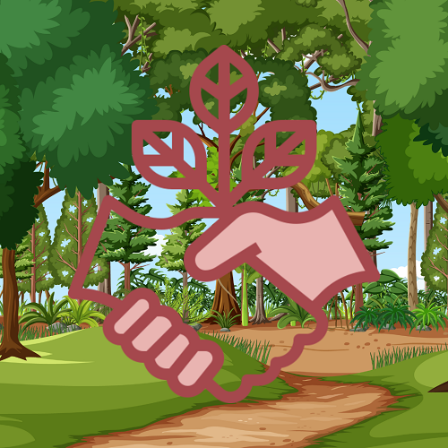 Imagen de El bosque de la concordia