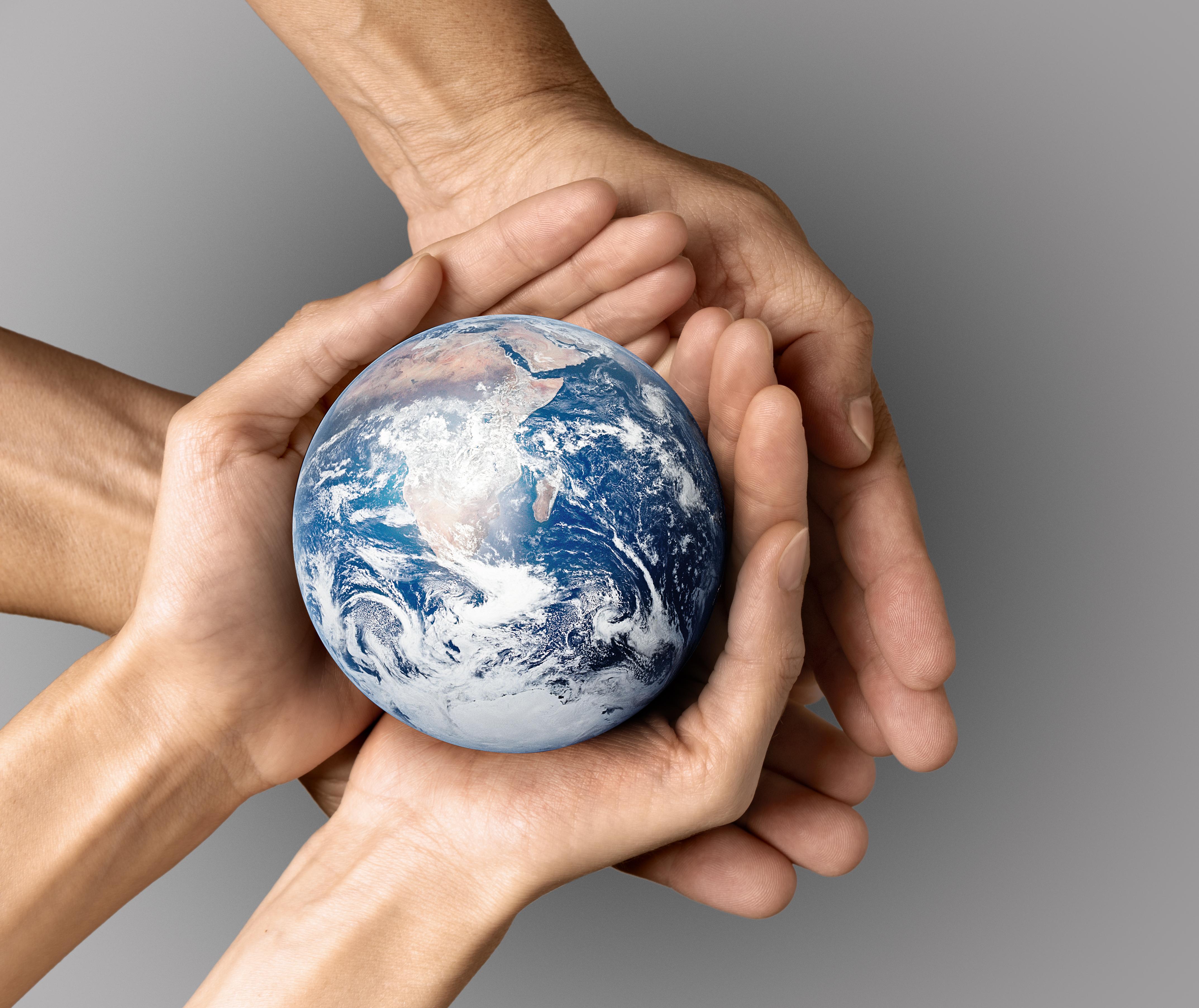 Imagen de Green Project