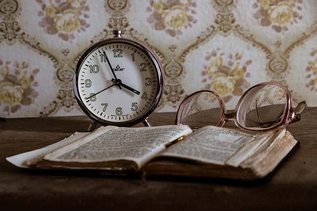 Imagen de Wo ist mein Buch?