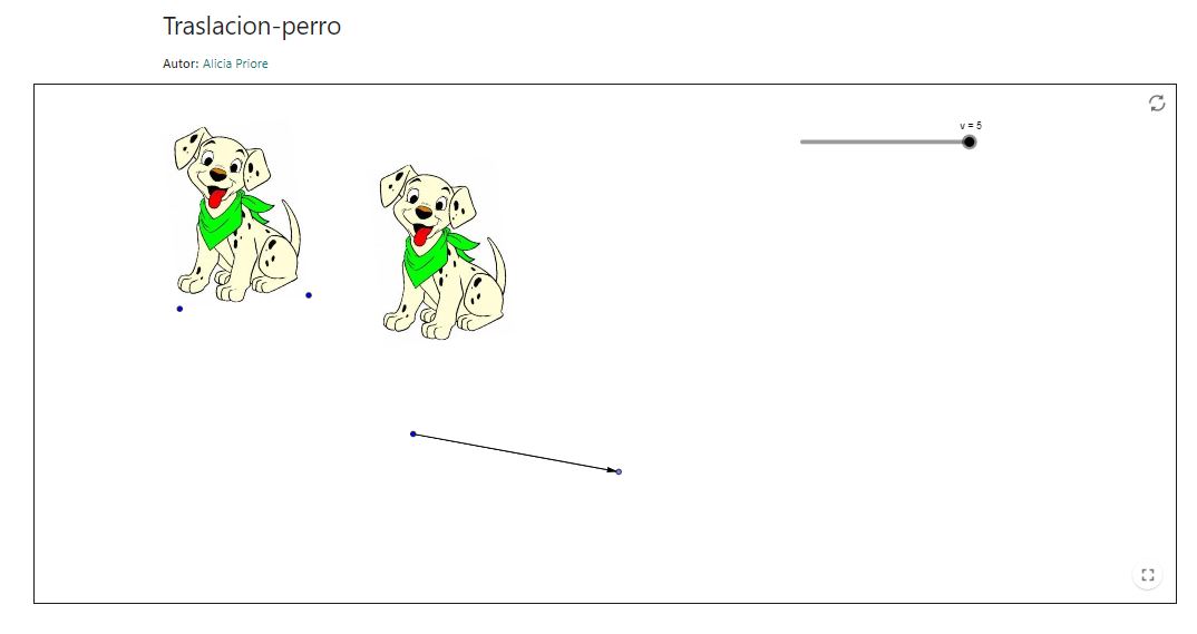 Imagen de Traslacion-perro