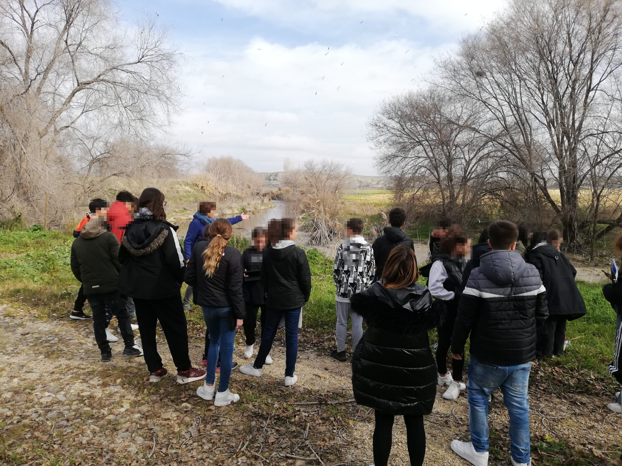 Ruta por el río Manzanares