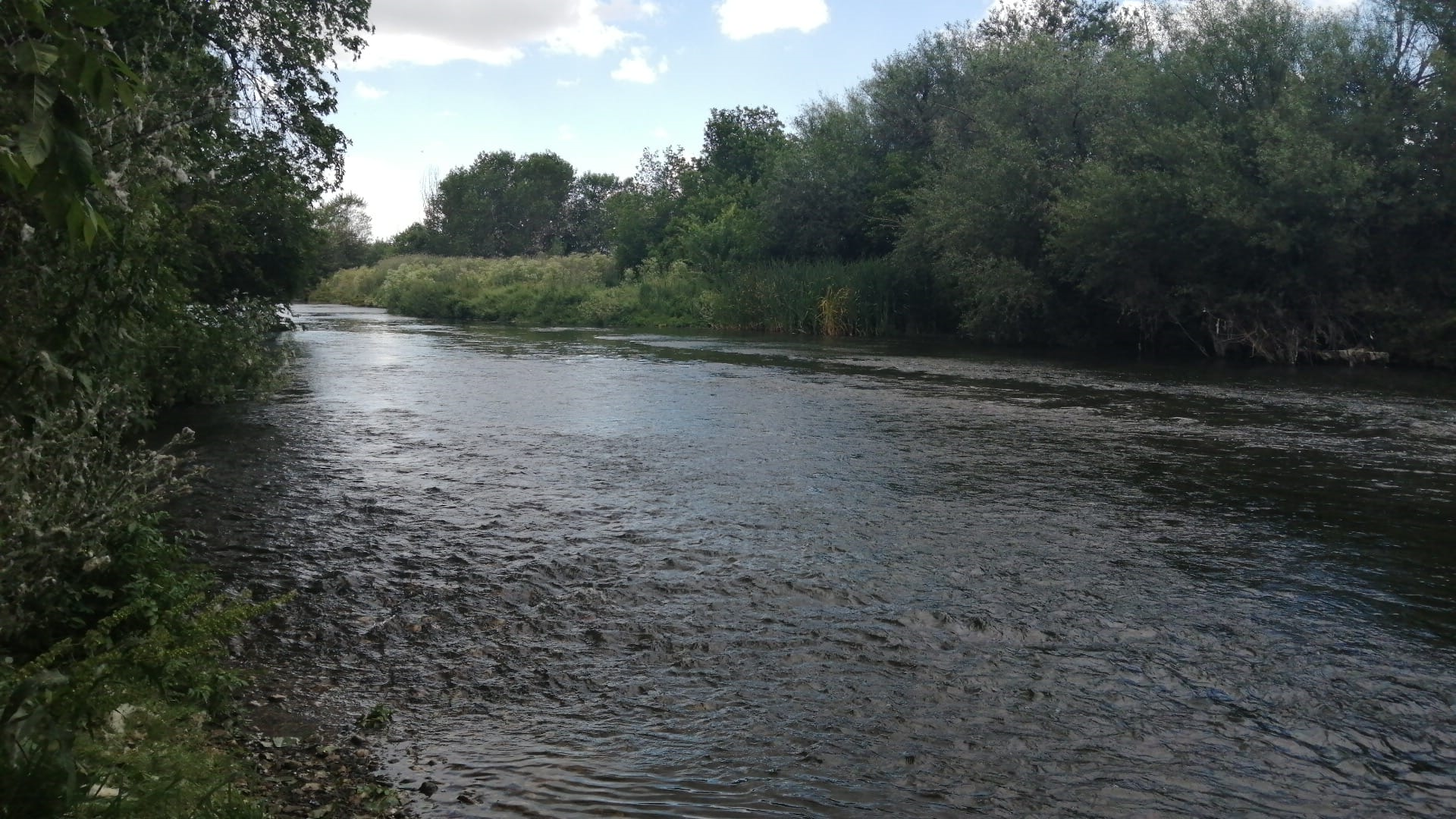 Río Manzanares a su paso por Perales del Río