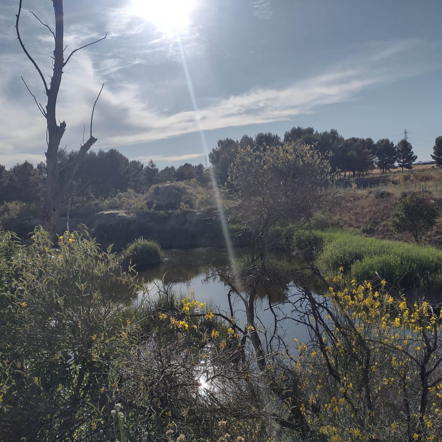 Lagunas de Horna