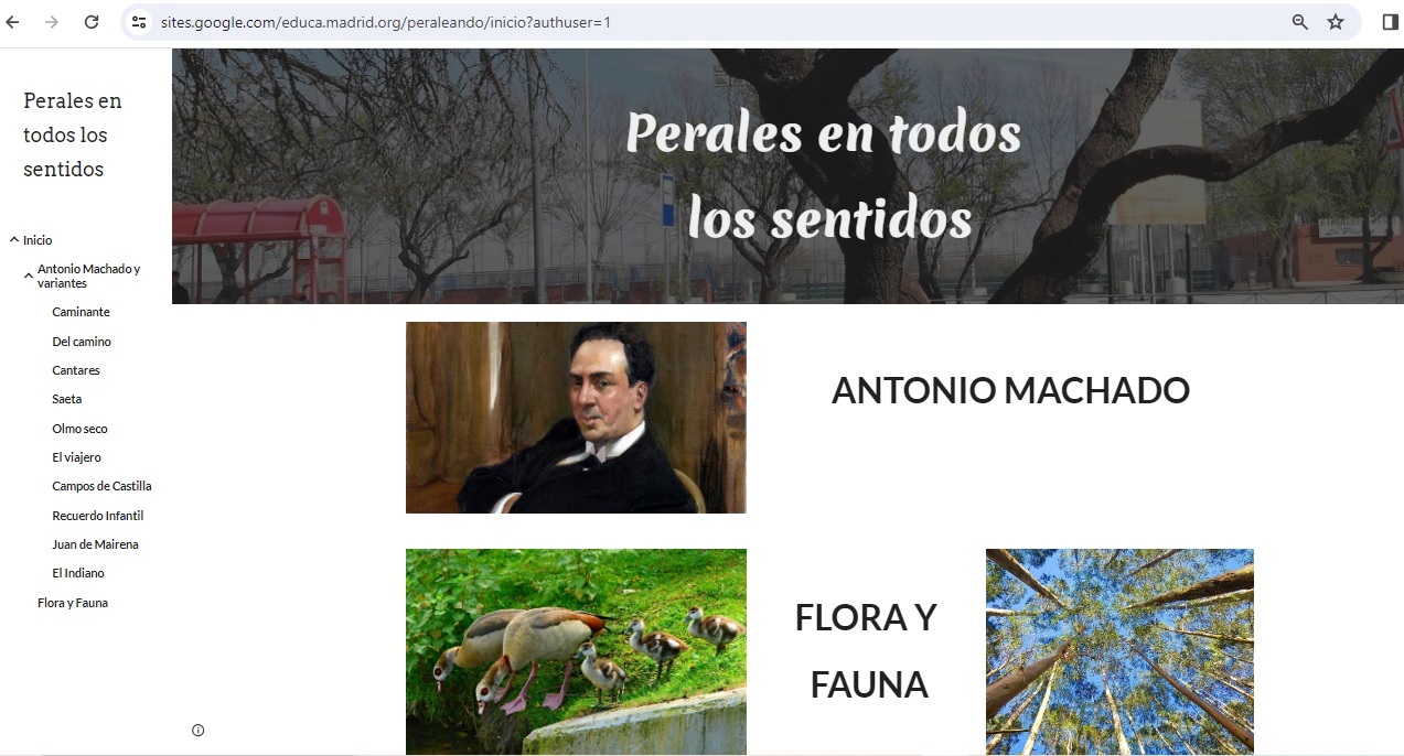 Web site del proyecto 1.º ESO